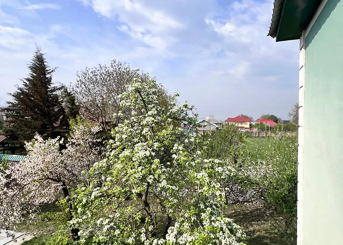 Holiday House In Gabala