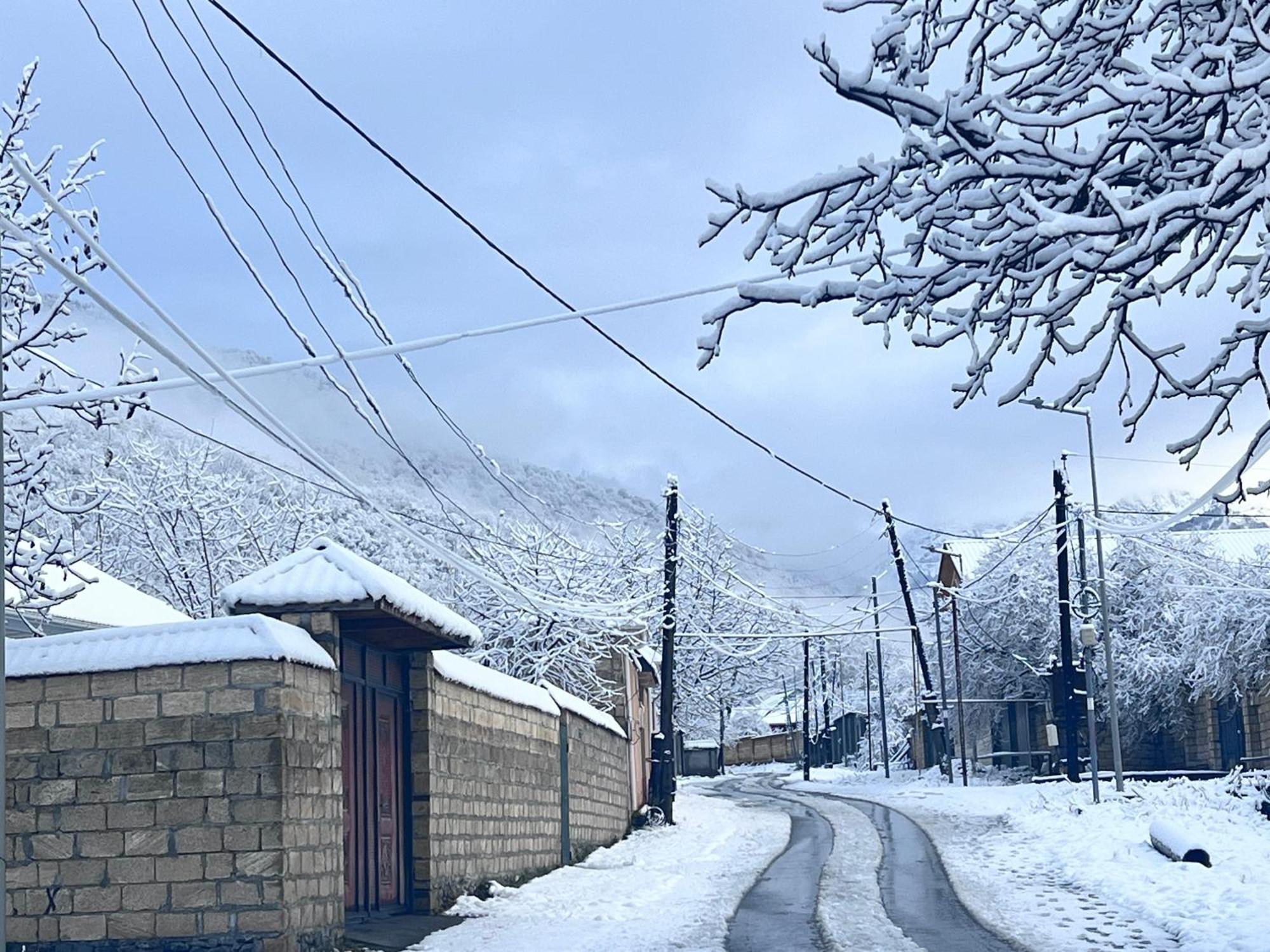 House In Gabala