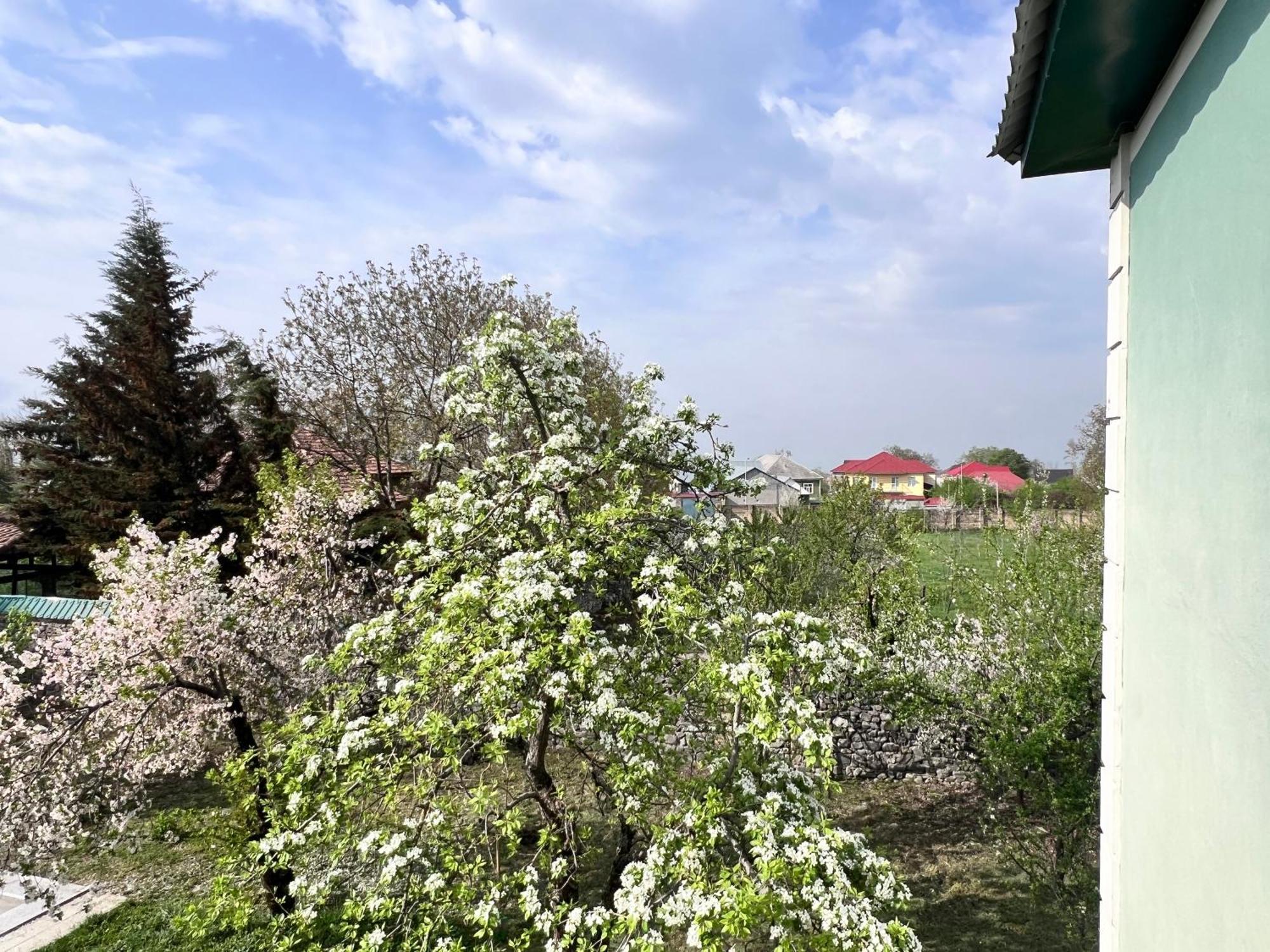 House In Holiday home Gabala