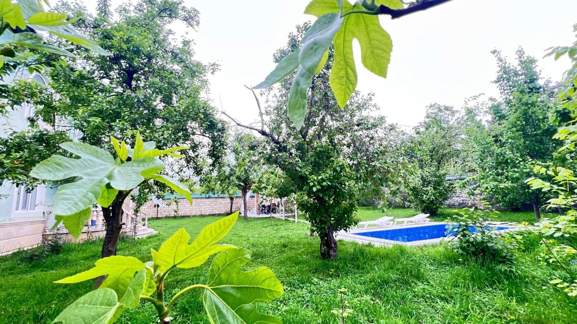 House In Holiday home Gabala
