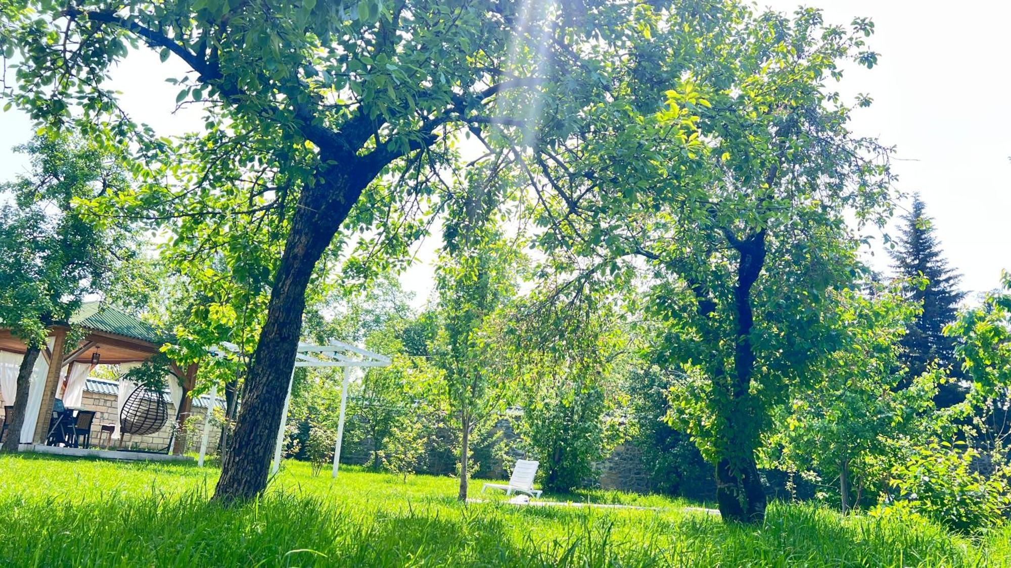 House In Holiday home Gabala